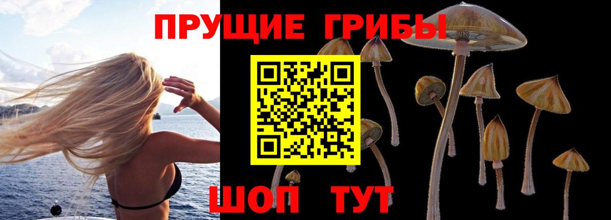 Галлюциногенные грибы прущие грибы  Галлюциногенные грибы Psilocybe  купить  цена  Вход с VPN  Елизово 