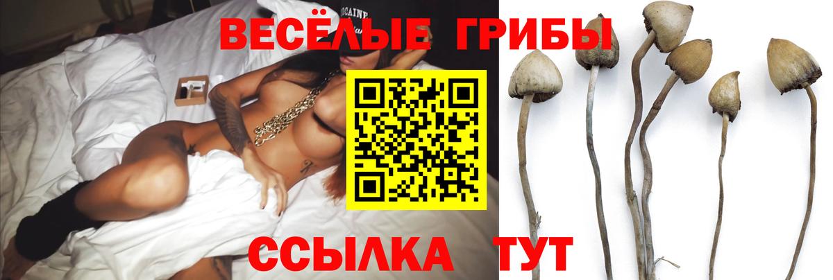 Галлюциногенные грибы Cubensis Елизово