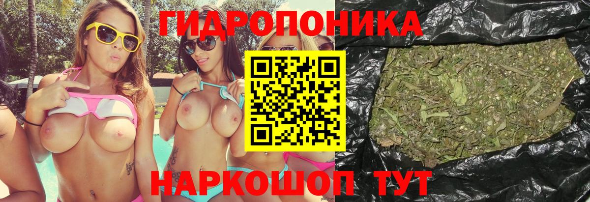 Канабис сатива  Вход с VPN  Конопля тримм  Елизово 